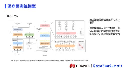 華為云蘇嘉 融合預(yù)訓(xùn)練模型與知識圖譜，構(gòu)建新一代醫(yī)療推理信息系統(tǒng)集成服務(wù)